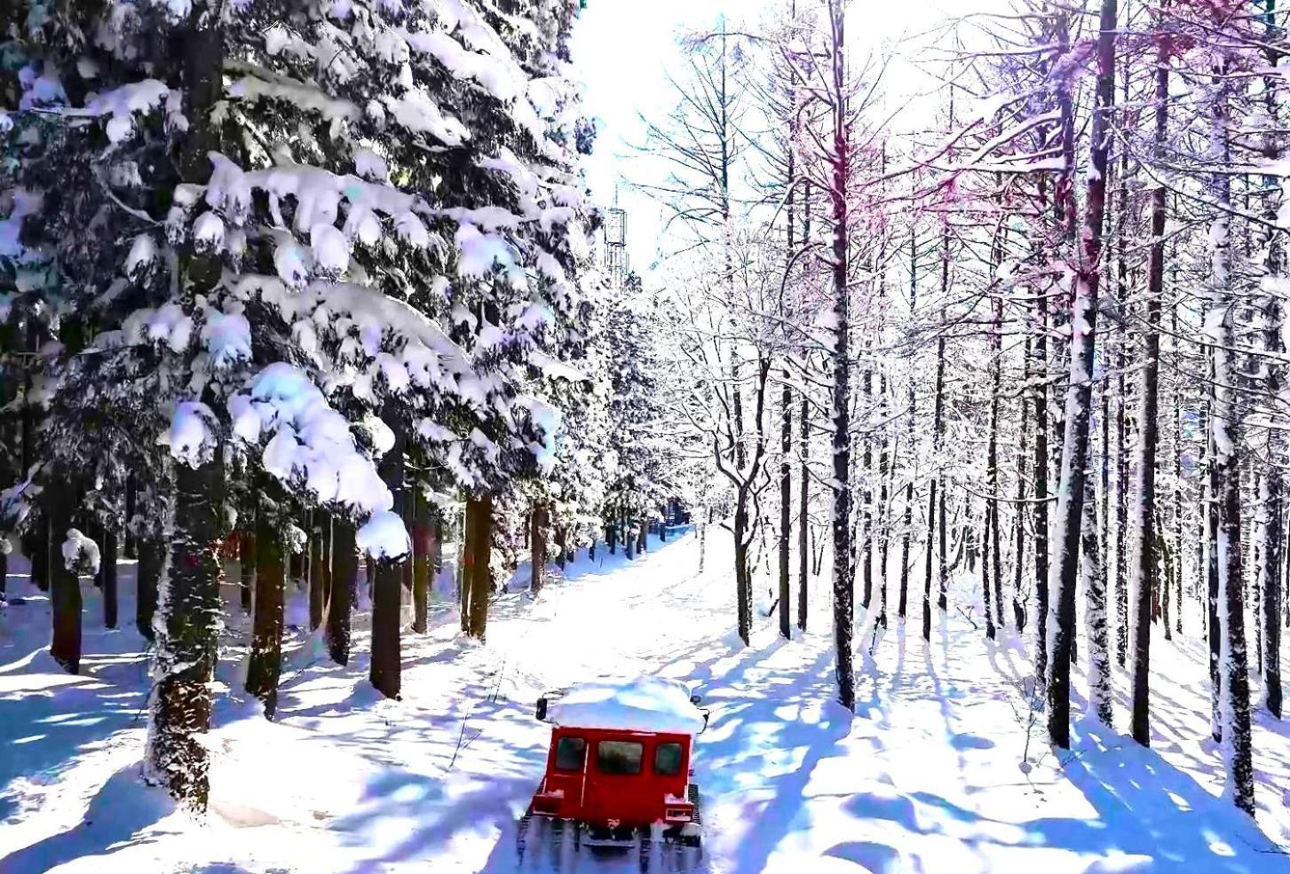 Hotel Green Plaza Hakuba Otari Bagian luar foto